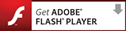 Download Adobe Flash Player